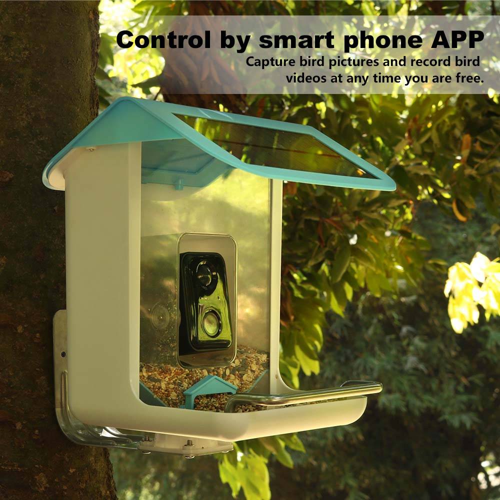 Outdoor Wildlife Wifi Camera C - Garden Camera ulasan dan harga