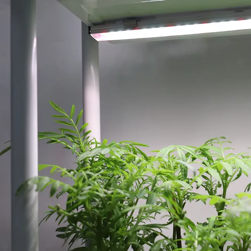 Movable Vertical Grow 3 Level  - Self Watering Planter ulasan dan harga