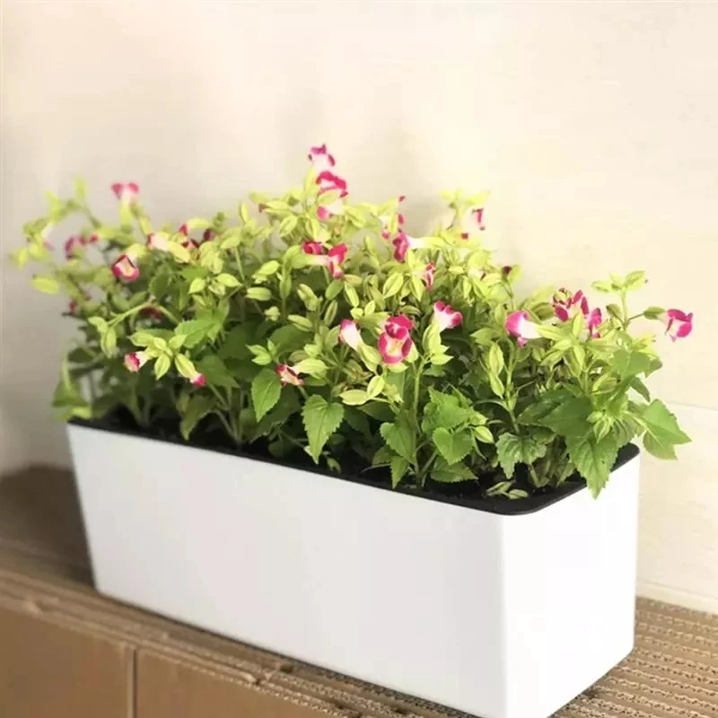 Rectangula Lazy Flower Pot Pot - Hydroponic Grow Pod ulasan dan harga
