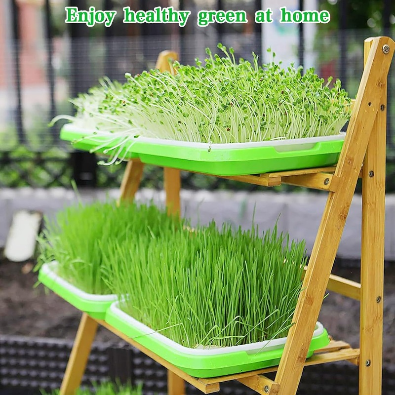 Microgreens Sprout Tray Germin - Hydroponic Grow Pod ulasan dan harga