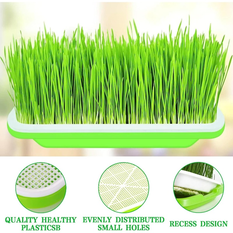 Microgreens Sprout Tray Germin - Hydroponic Grow Pod ulasan dan harga