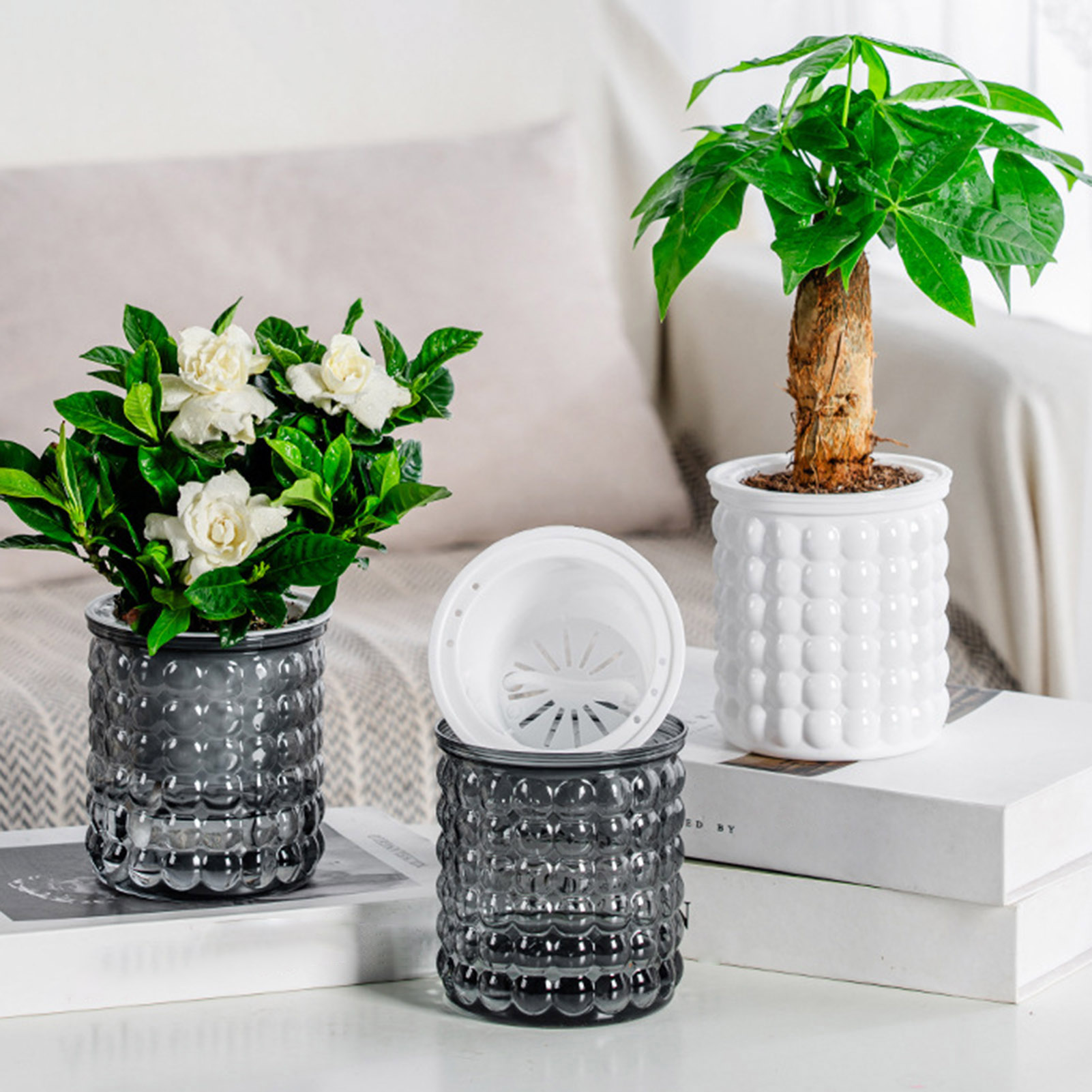 New Self Watering Hydroponic P - Hydroponic Grow Pod ulasan dan harga