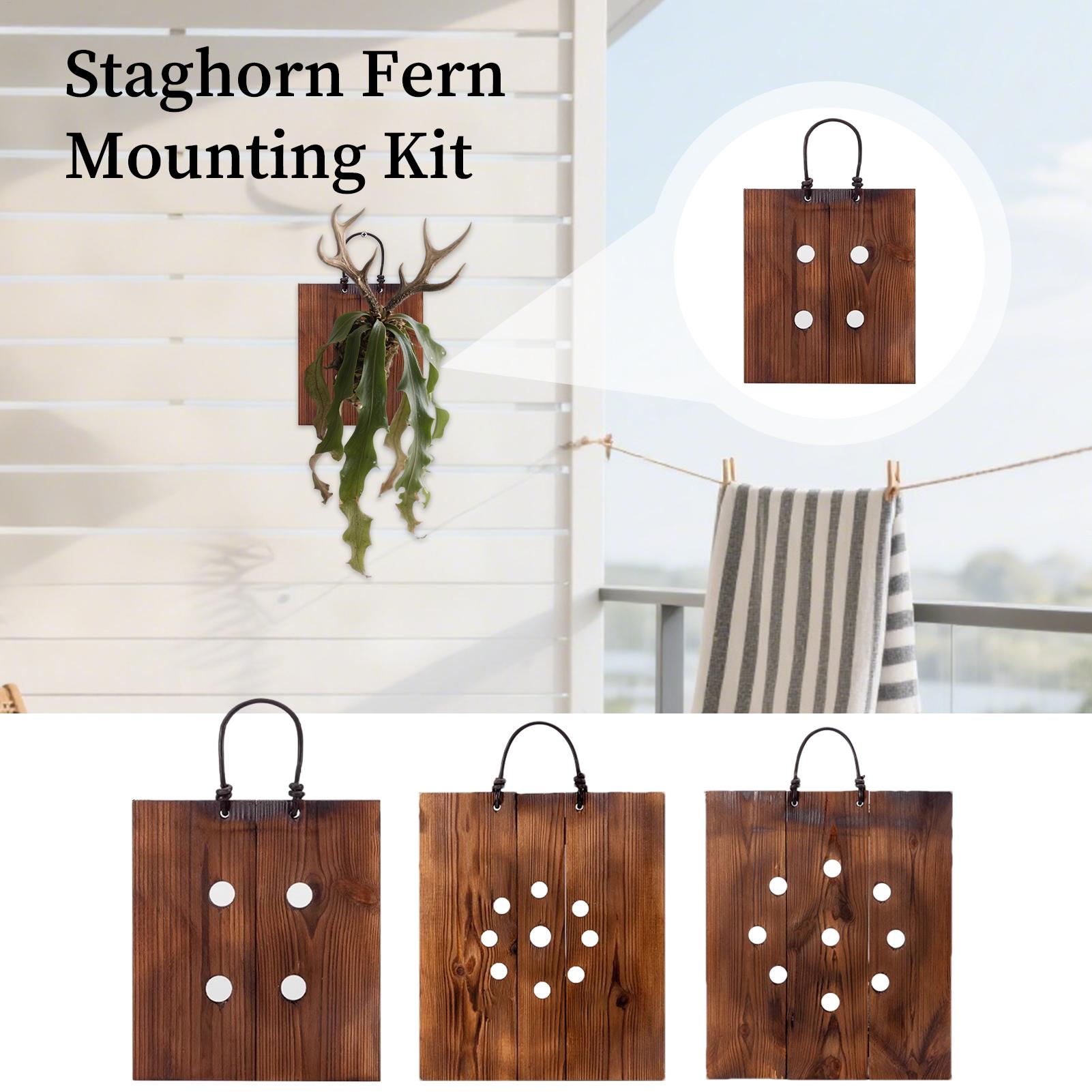 Staghorn Fern Wall Mount Board - Indoor Garden Kit ulasan dan harga