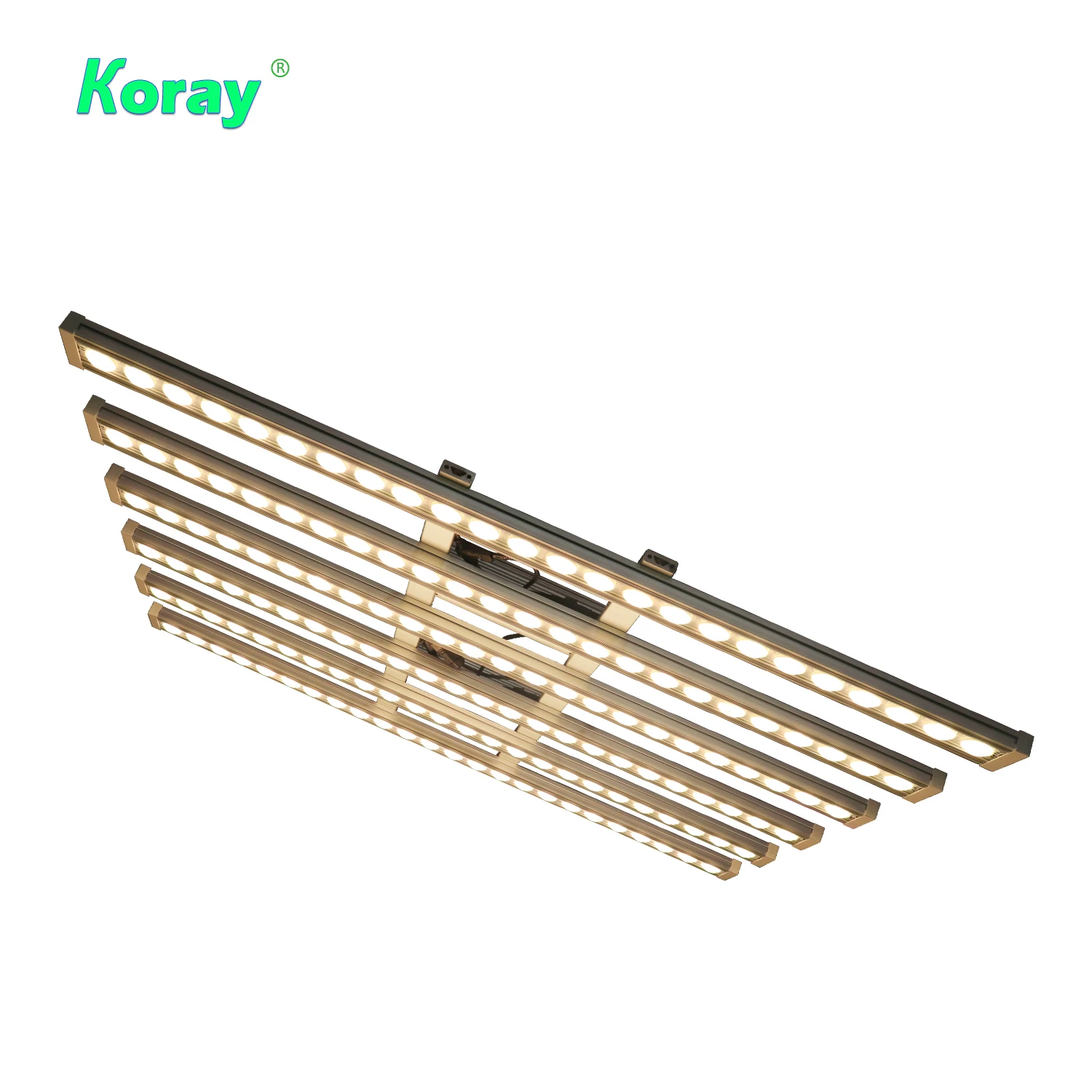 Koray 900W Indoor full spectru - Grow Light Led ulasan dan harga