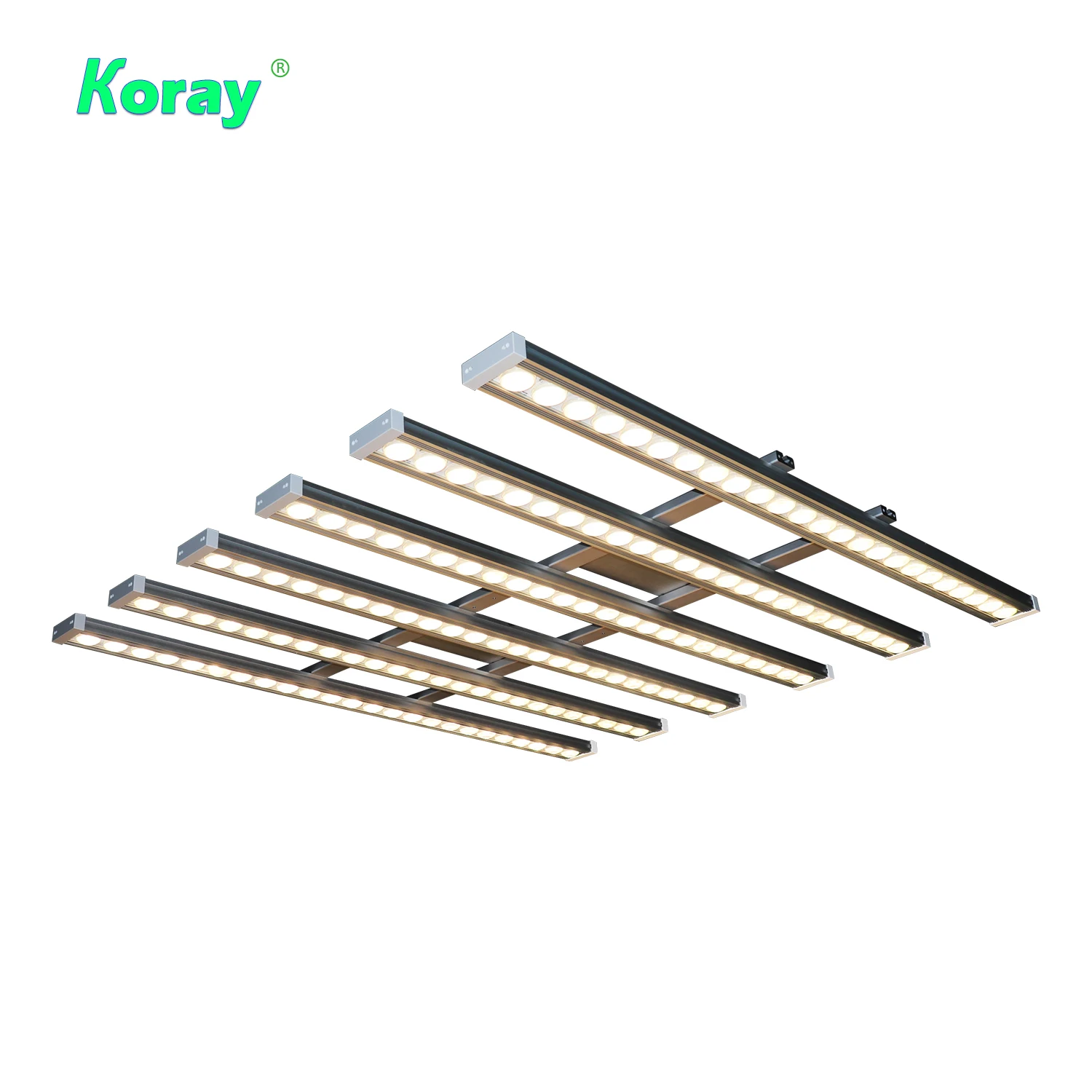 Koray 900W Indoor full spectru - Grow Light Led ulasan dan harga